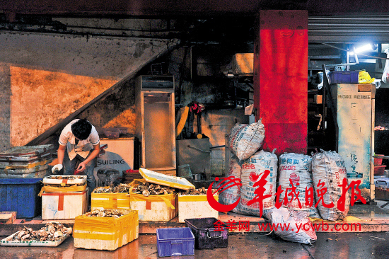 ���������տ���&ldquo;ϖ��ϲ&rdquo;����ӳ���20��