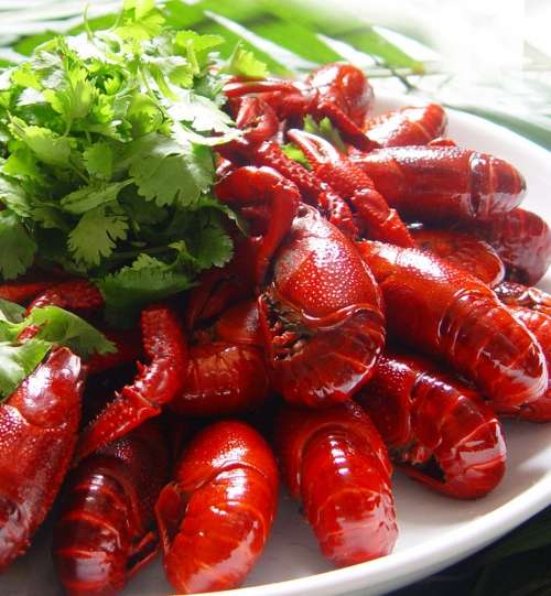 ���������һҳ