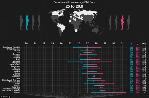 ȫ����ֹ���������¯ �������������ϰ�