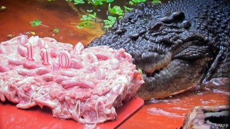 �Ĵ����Ǳ��������ľ���������ϵԭ������������Ϯ���¼����٣��������������������Խ��Խ���ѡ�